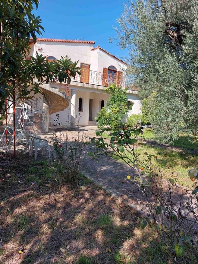 275607214 4225926340843096 2027488582548082223 n