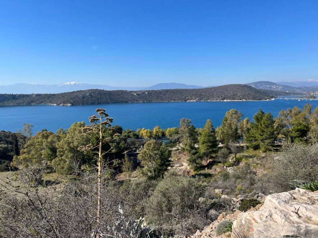 330805567 1351924878935666 2572690331359863808 n