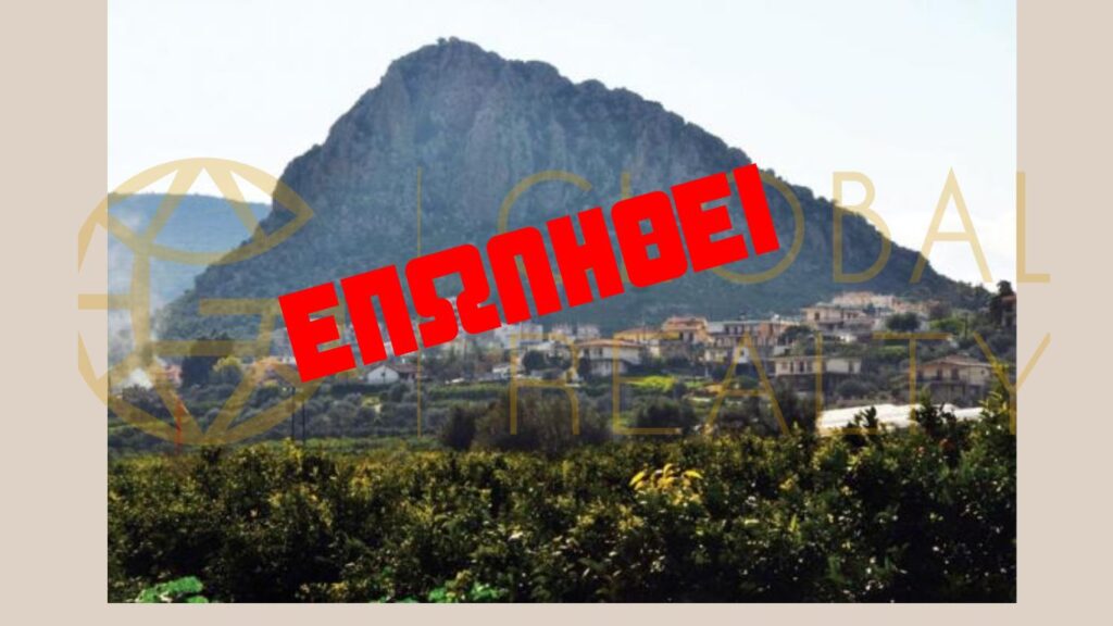 ΑΣΙΝΗ ΕΠΩΛΗΘΕΙ