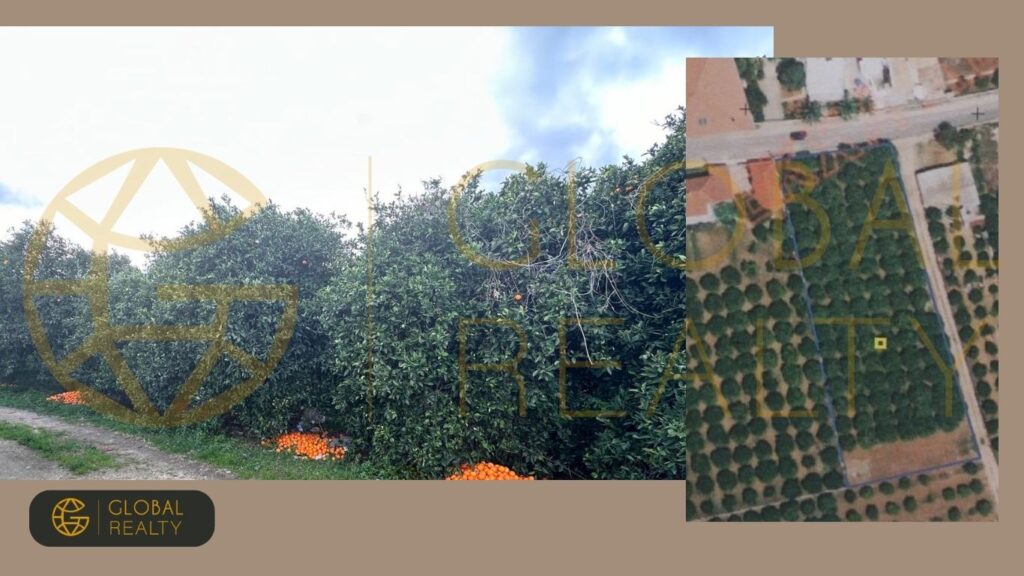 ΟΙΚΟΠΕΔΟ ΒΑΛΣΑΜΑΚΗ ΑΓΙΑ ΤΡΙΑΔΑ Global