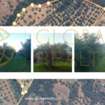 ΕΛΑΙΩΝΑΣ ΠΩΛΗΣΗ