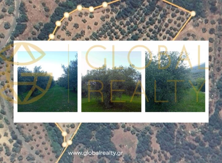 ΕΛΑΙΩΝΑΣ ΠΩΛΗΣΗ